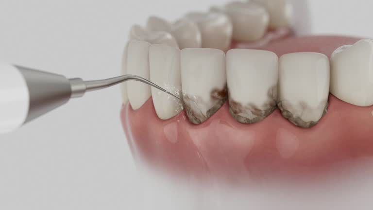 Reliable Dental contractor in Leisure Knoll, NJ by Dentist Open Now